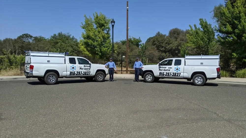 Affordable landscape installation experts serving Loomis, CA - Defense Pest Control