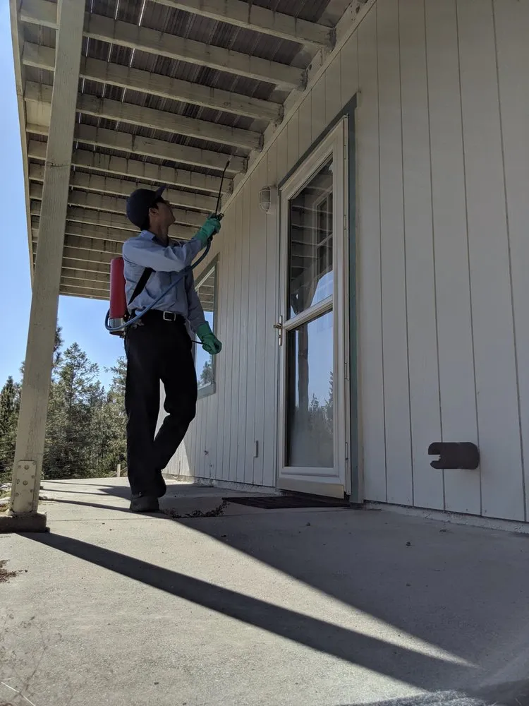 Top-rated outdoor landscaping near you across Loomis, CA - Defense Pest Control