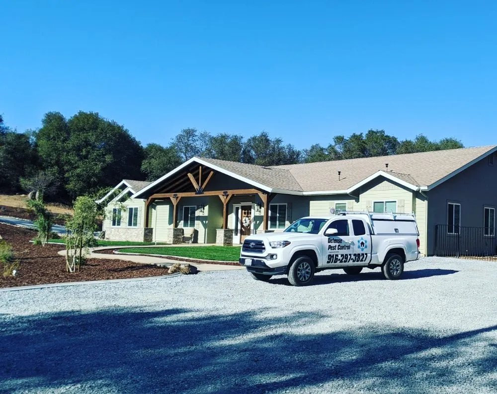 Local lawn mowing service for residential properties in Loomis, CA by Defense Pest Control