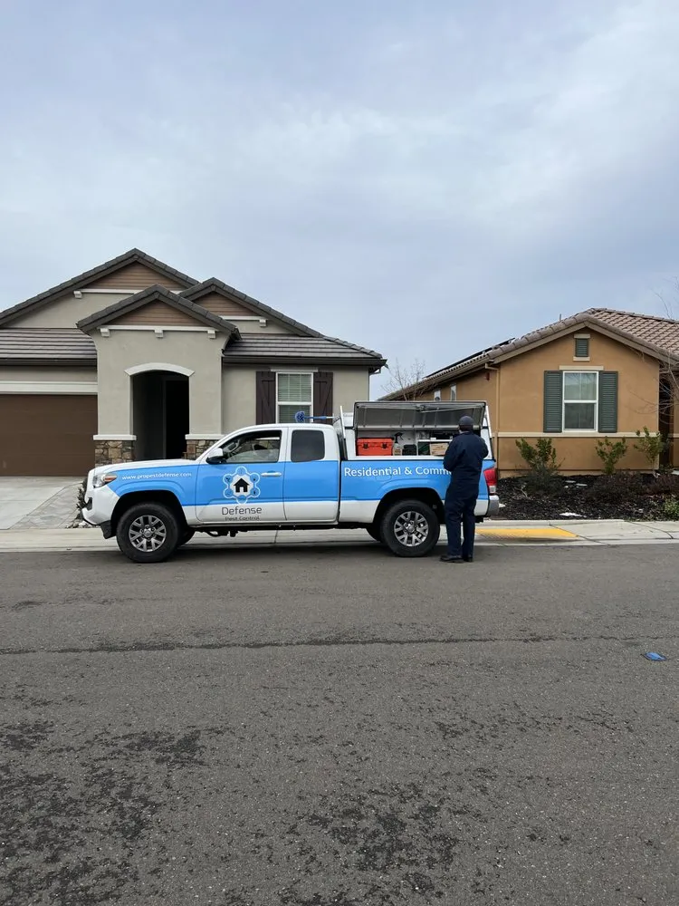 Reliable outdoor landscaping experts serving Loomis, CA - Defense Pest Control