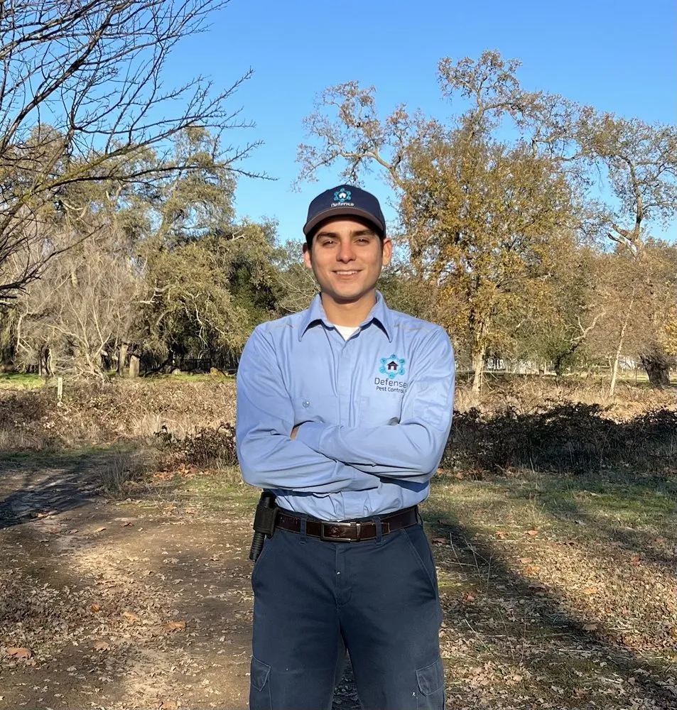 Trusted landscape installation in Loomis, CA - Defense Pest Control