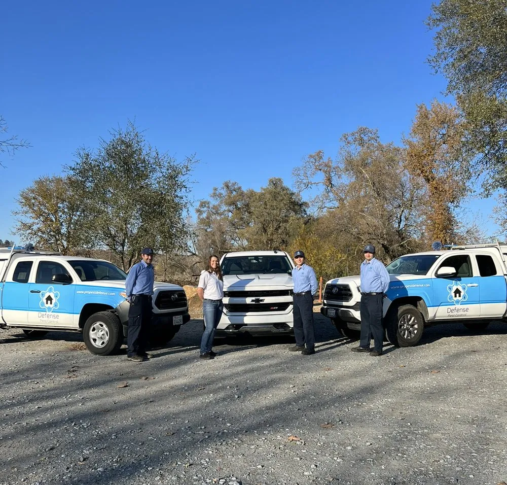 Top-rated outdoor landscaping for residential properties across Loomis, CA - Defense Pest Control