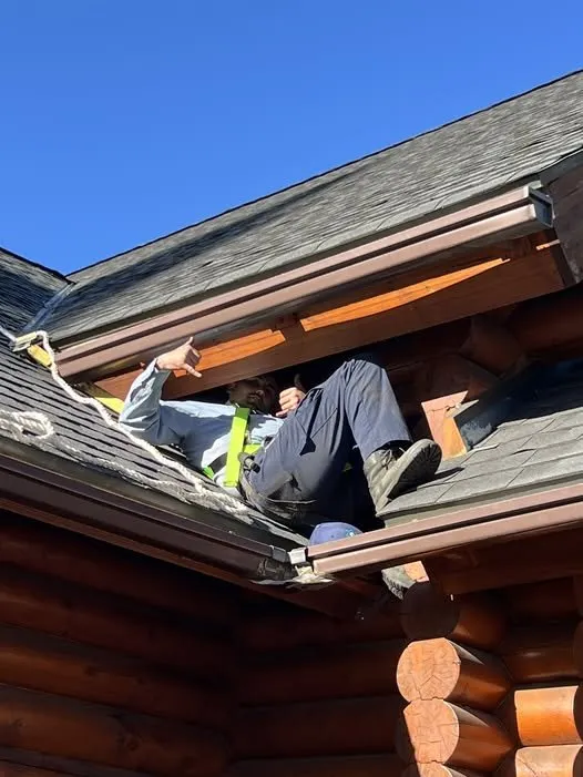 Custom landscape design for outdoor upgrades in Loomis, CA by Defense Pest Control