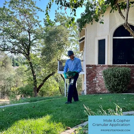 Affordable lawn care service for residential properties across Loomis, CA - Defense Pest Control