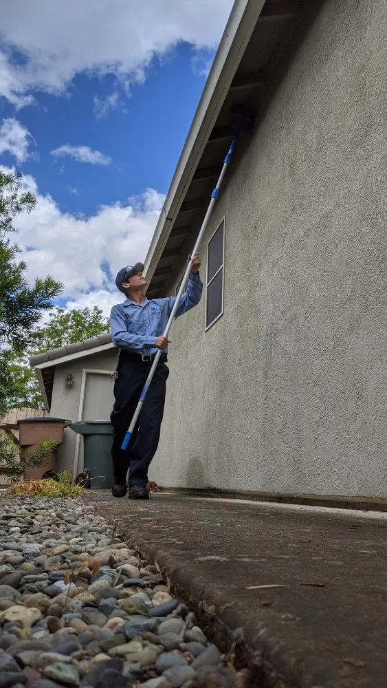 Professional residential landscaping in Loomis, CA - Defense Pest Control