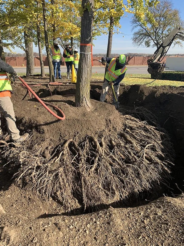 Reliable landscaping services in Orinda, CA - Defensible Designs