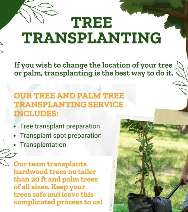 Professional garden landscaping for residential properties in Orinda, CA by Defensible Designs