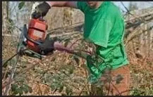 Top-rated lawn care service for beautiful yards in Redding, CA by Defensible Space & Brush Removal