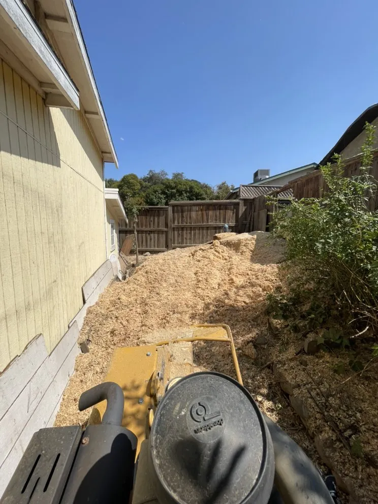 Top-rated yard cleanup service in Citrus Heights, CA - Defensible Space Management