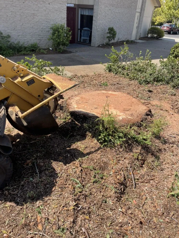 Affordable lawn care service in Citrus Heights, CA by Defensible Space Management