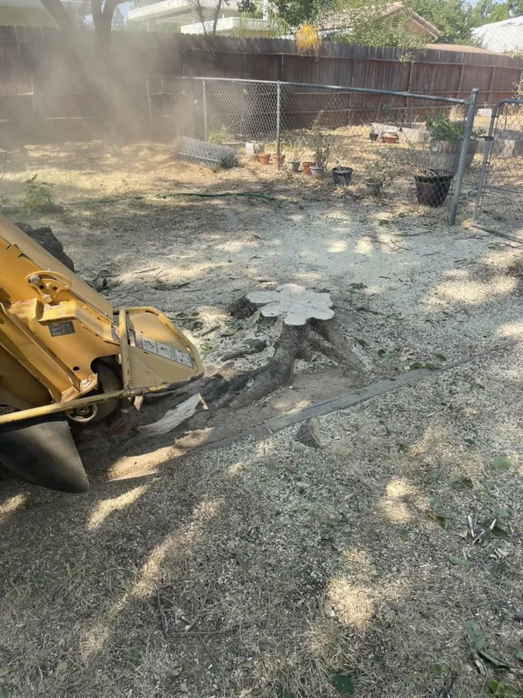 Affordable garden landscaping in Citrus Heights, CA by Defensible Space Management