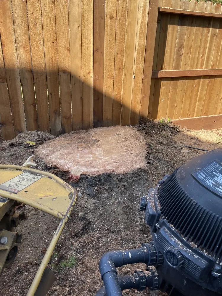 Professional landscaping services for homes in Citrus Heights, CA by Defensible Space Management