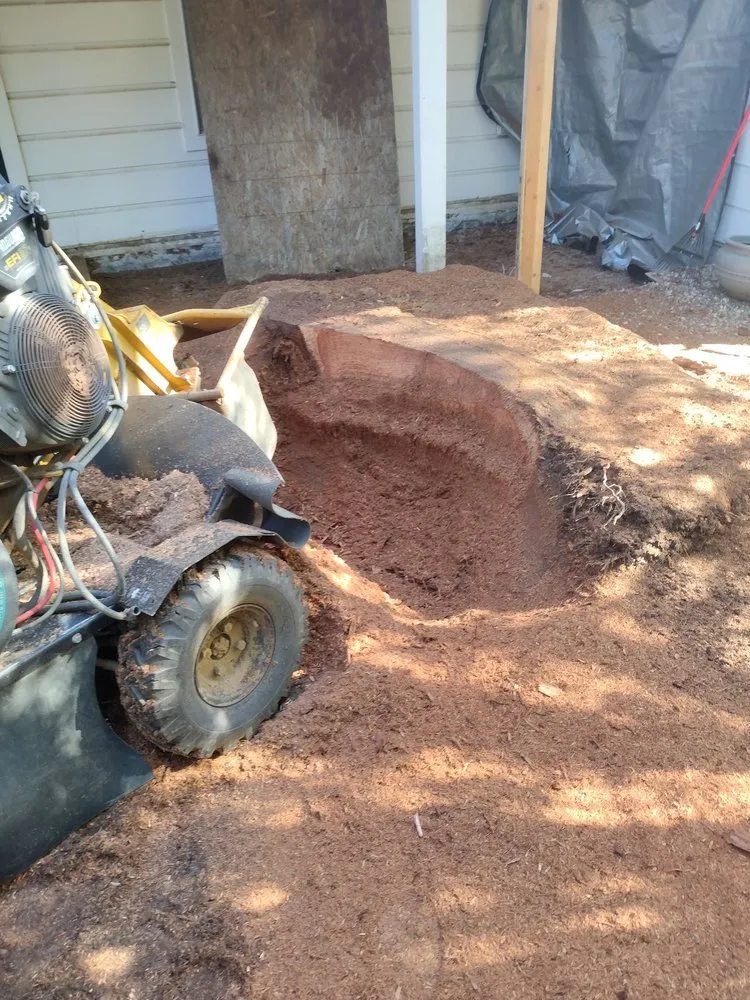 Professional residential landscaping in Citrus Heights, CA by Defensible Space Management