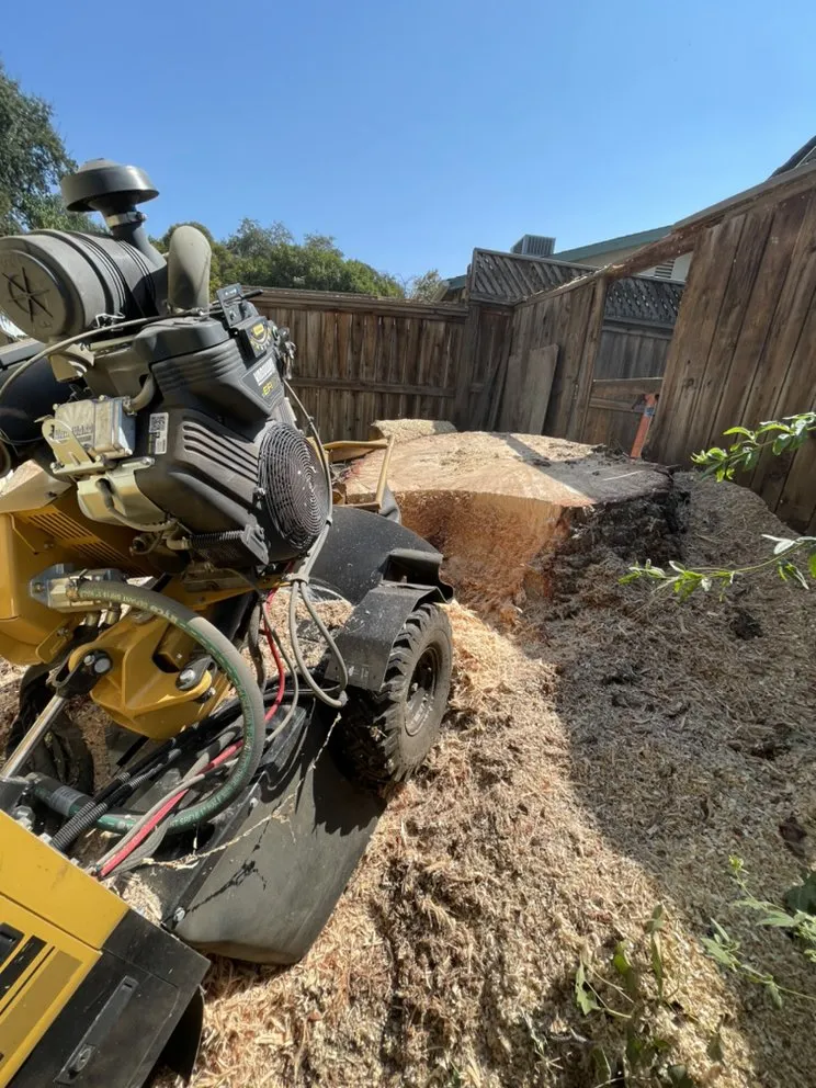 Reliable garden landscaping in Citrus Heights, CA - Defensible Space Management