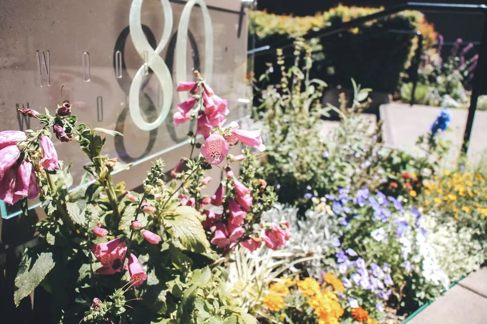 Local residential landscaping with custom design across San Rafael, CA - Defensible Space Pros