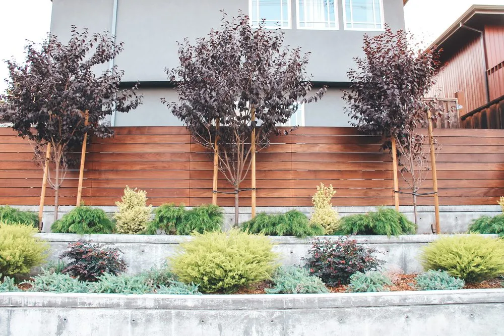 Custom outdoor landscaping for beautiful yards across San Rafael, CA - Defensible Space Pros