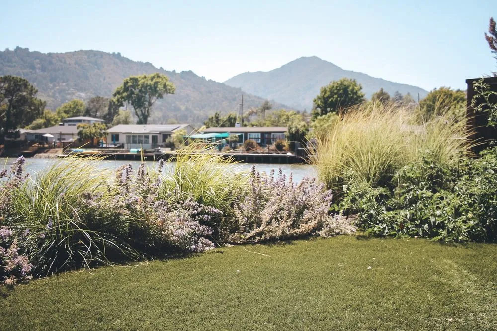 Trusted yard cleanup service in San Rafael, CA by Defensible Space Pros