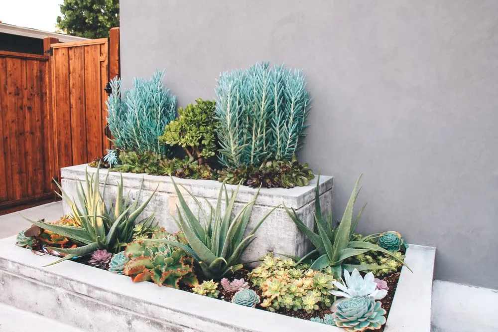 Custom garden landscaping for homes in San Rafael, CA by Defensible Space Pros