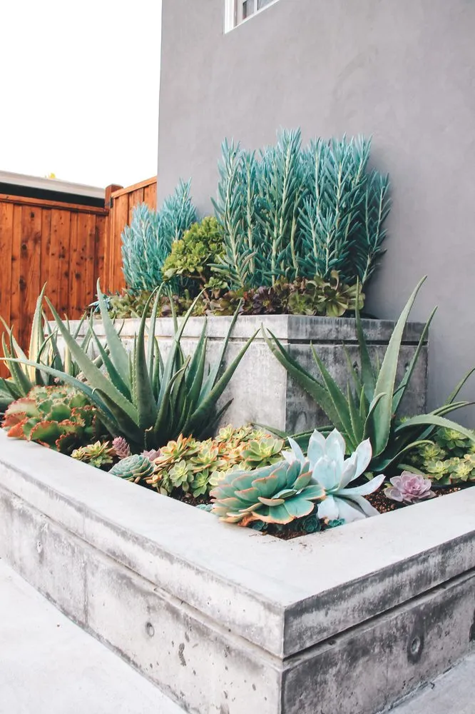 Professional residential landscaping in San Rafael, CA - Defensible Space Pros