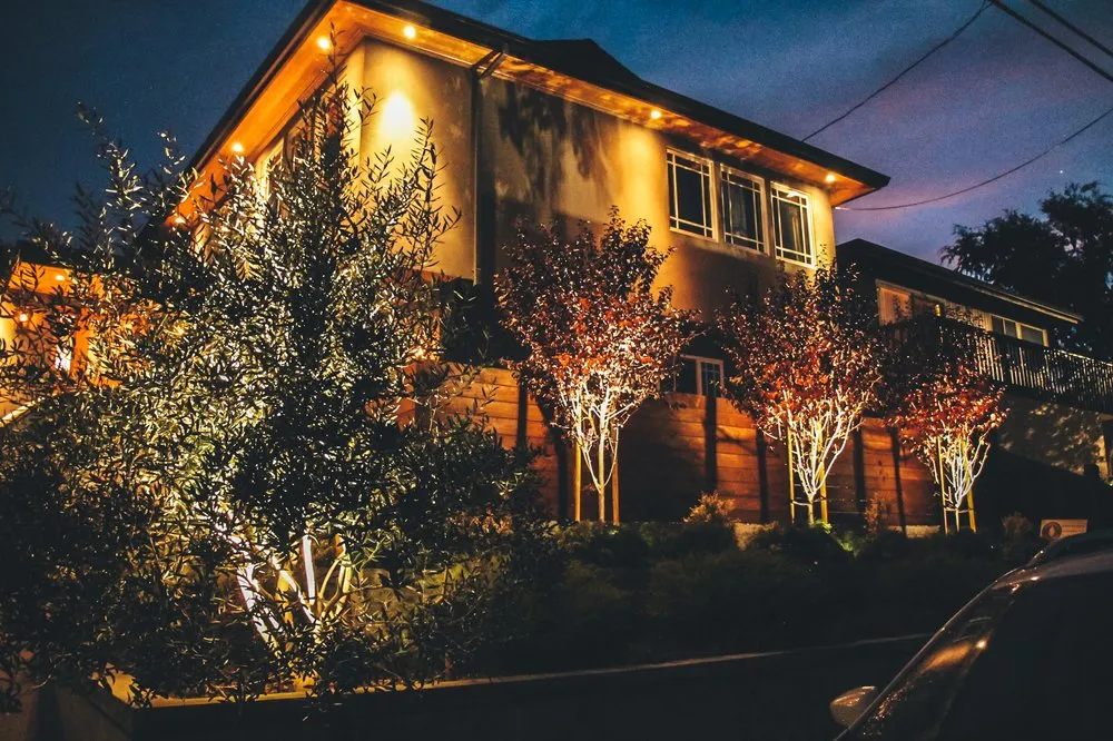 Local landscaping services for beautiful yards across San Rafael, CA - Defensible Space Pros