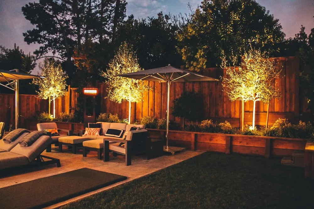 Local yard cleanup service experts serving San Rafael, CA - Defensible Space Pros