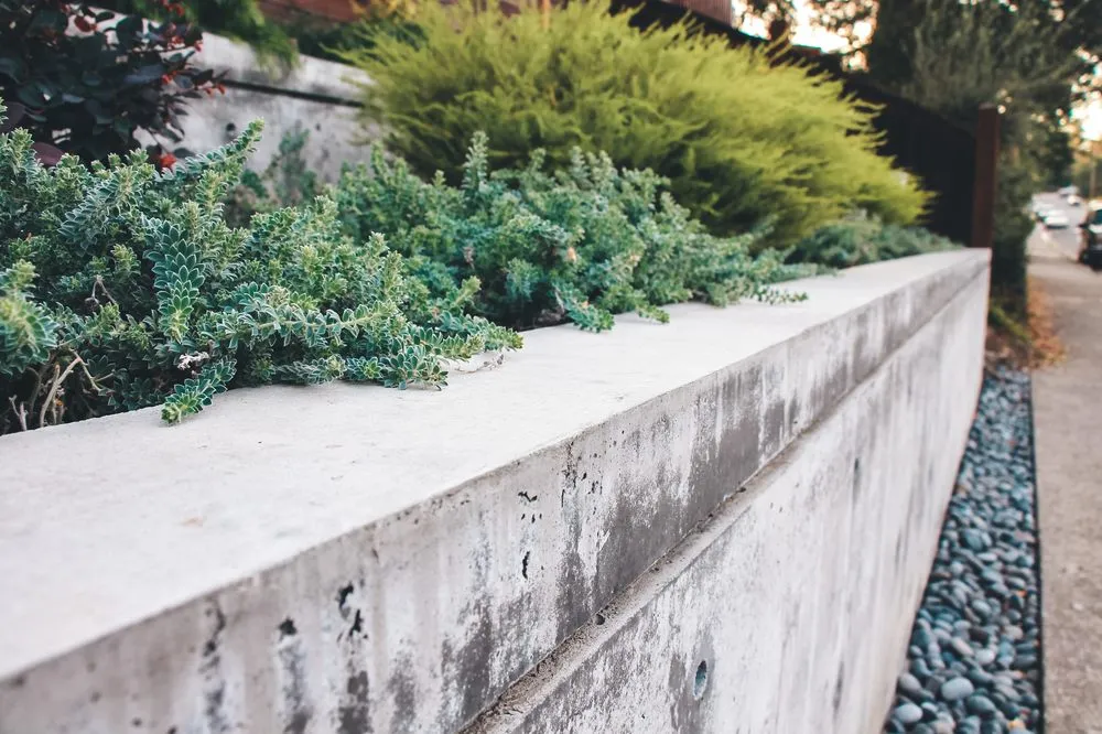 Top-rated garden landscaping in San Rafael, CA - Defensible Space Pros