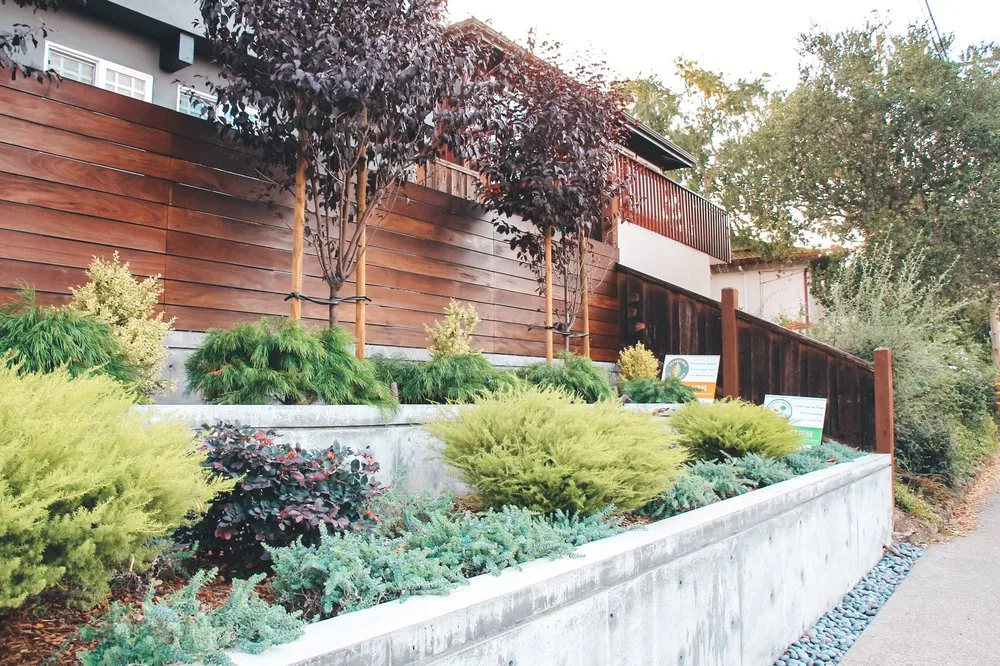 Expert outdoor landscaping experts serving San Rafael, CA - Defensible Space Pros