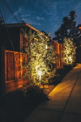 Defensible Space Pros Logo