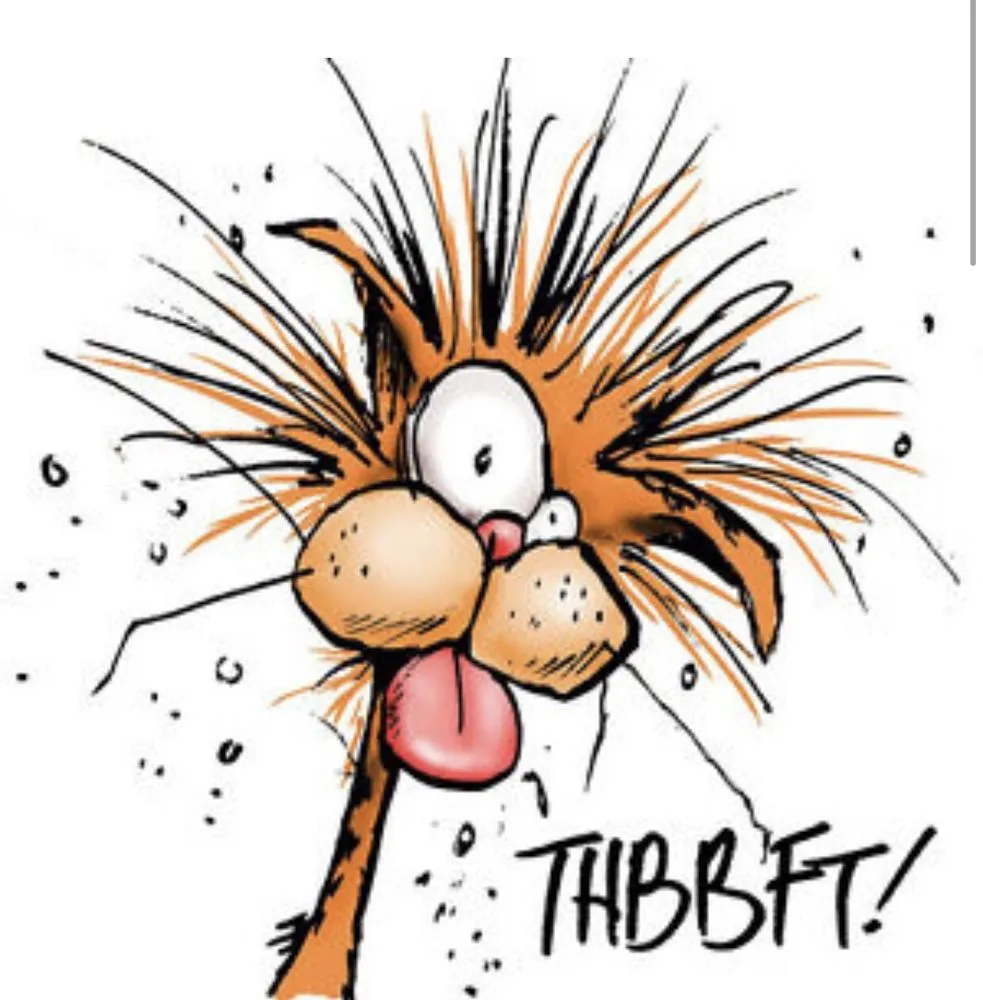 Expert landscape installation in Garland, TX - DeFeo's Landscaping & Lawn Care