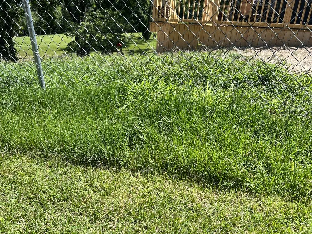 Custom garden landscaping for beautiful yards across Defiance, OH - Defiance Lawn Care and Snow Removal