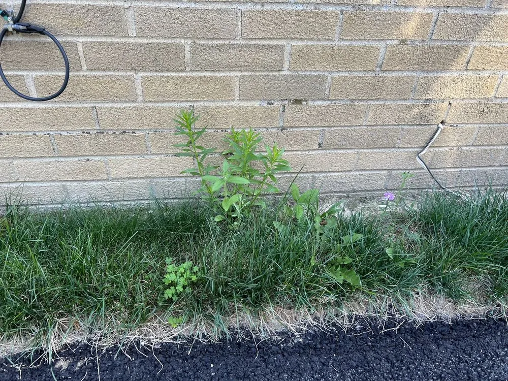 Local garden landscaping in Defiance, OH - Defiance Lawn Care and Snow Removal