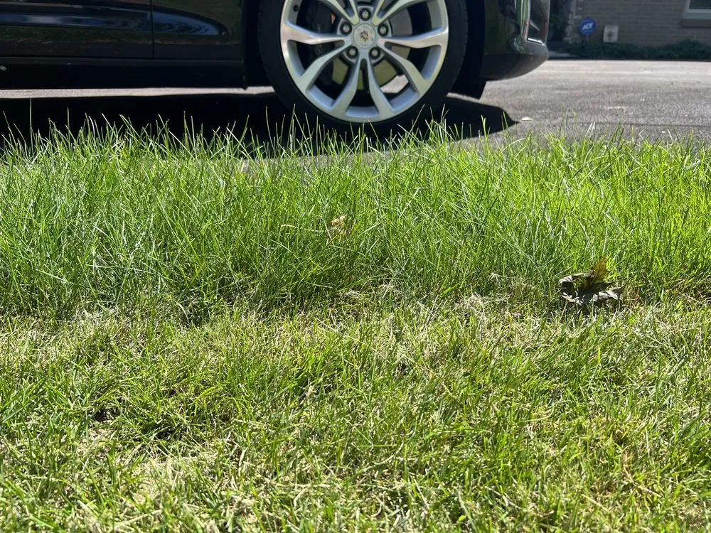 Affordable landscape design near you in Defiance, OH by Defiance Lawn Care and Snow Removal