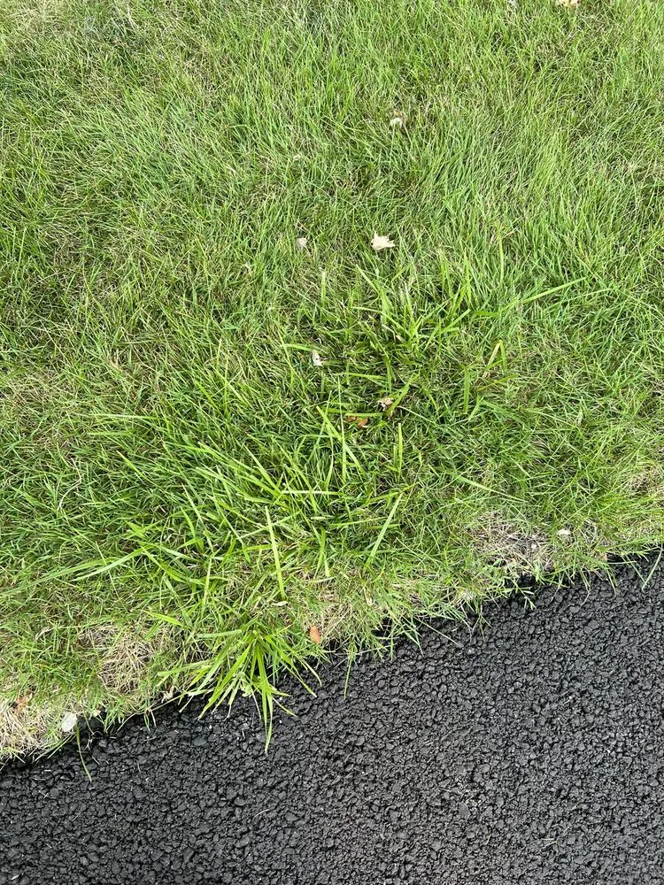 Professional lawn care service for residential properties in Defiance, OH by Defiance Lawn Care and Snow Removal