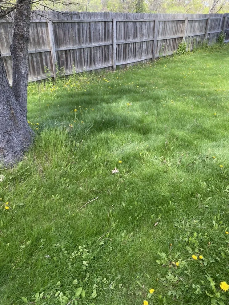 Top-rated landscape design near you across Vestal, NY - Defides Lawncare Specialists