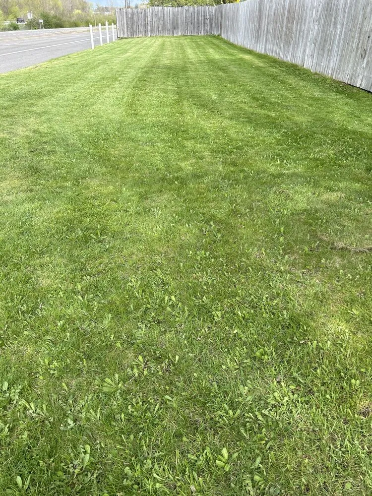 Professional lawn mowing service experts serving Vestal, NY - Defides Lawncare Specialists