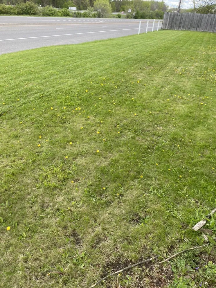 Trusted landscape design with custom design across Vestal, NY - Defides Lawncare Specialists