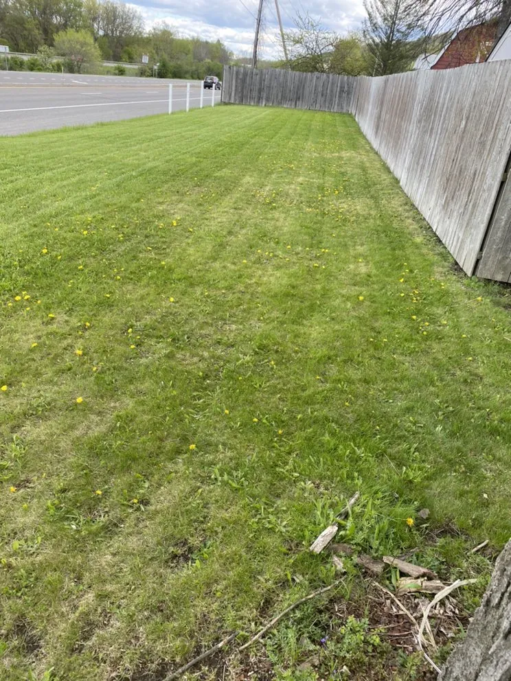 Top-rated garden landscaping for homes across Vestal, NY - Defides Lawncare Specialists