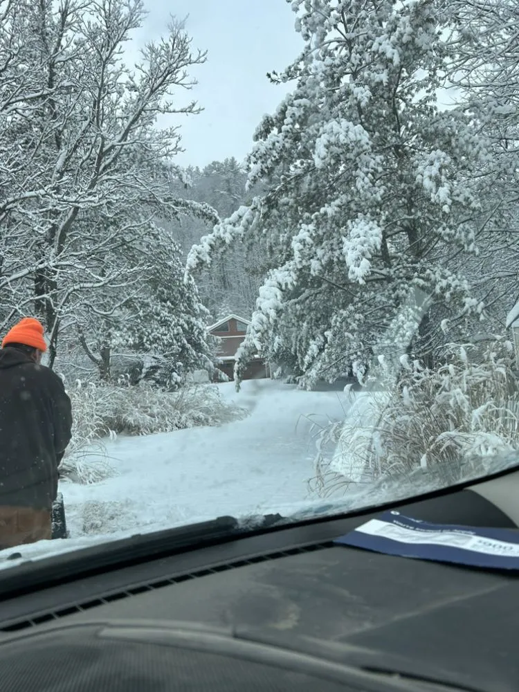 Affordable yard cleanup service in Vestal, NY by Defides Lawncare Specialists