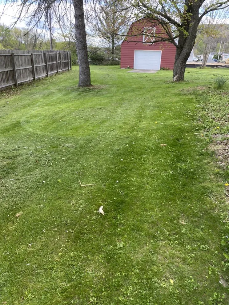 Local yard cleanup service in Vestal, NY - Defides Lawncare Specialists