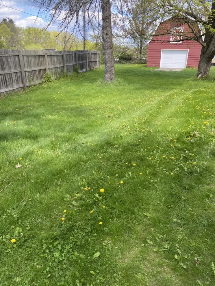 Professional yard cleanup service in Vestal, NY - Defides Lawncare Specialists