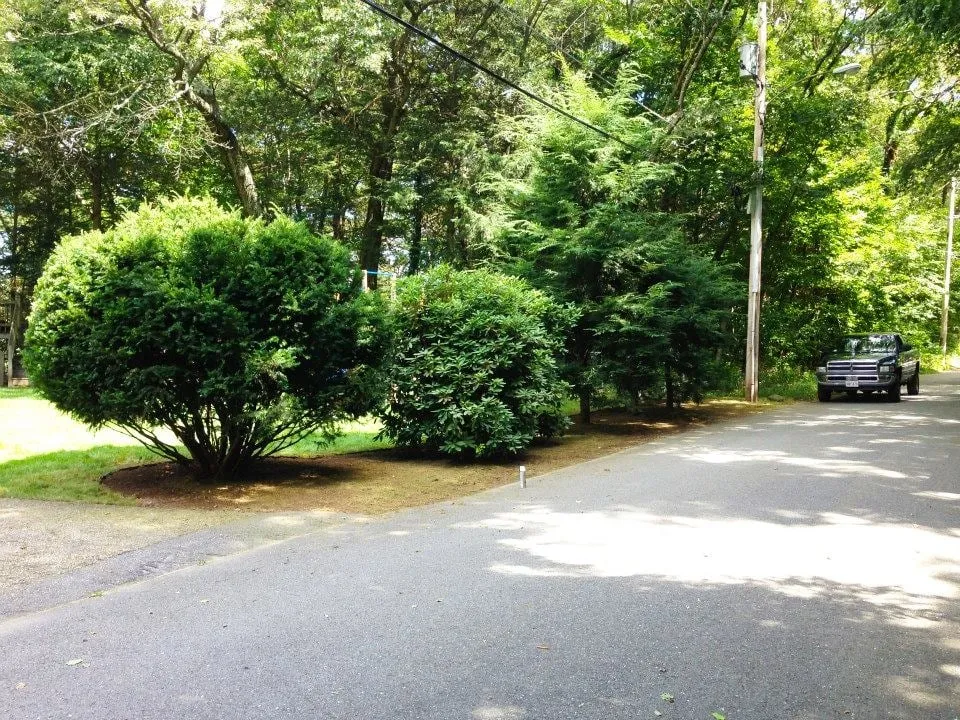 Local yard maintenance in Wayland, MA by Defina Demersky Design, Inc