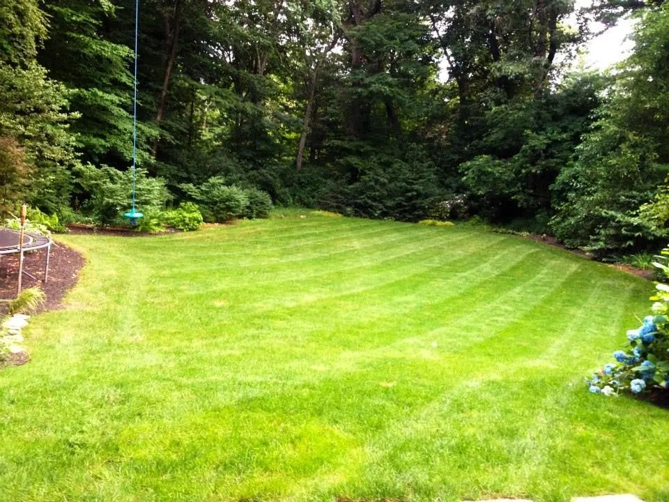 Custom lawn mowing service in Wayland, MA by Defina Demersky Design, Inc