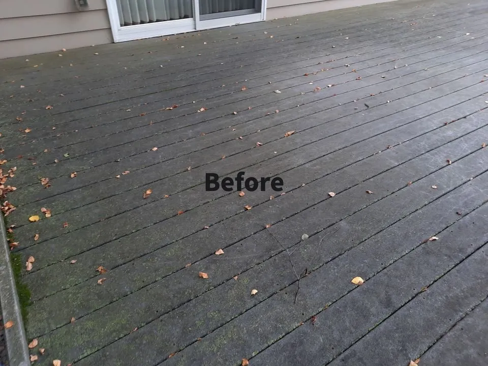 Expert landscaping services with custom design in Hastings, MN by Define & Shine Outdoor Solutions