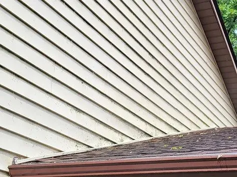 Professional yard maintenance experts serving Hastings, MN - Define & Shine Outdoor Solutions