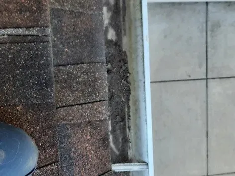 Trusted garden landscaping experts serving Hastings, MN - Define & Shine Outdoor Solutions