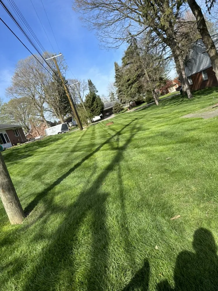 Trusted outdoor landscaping in Taylor, MI - Defined Lines Lawn Care