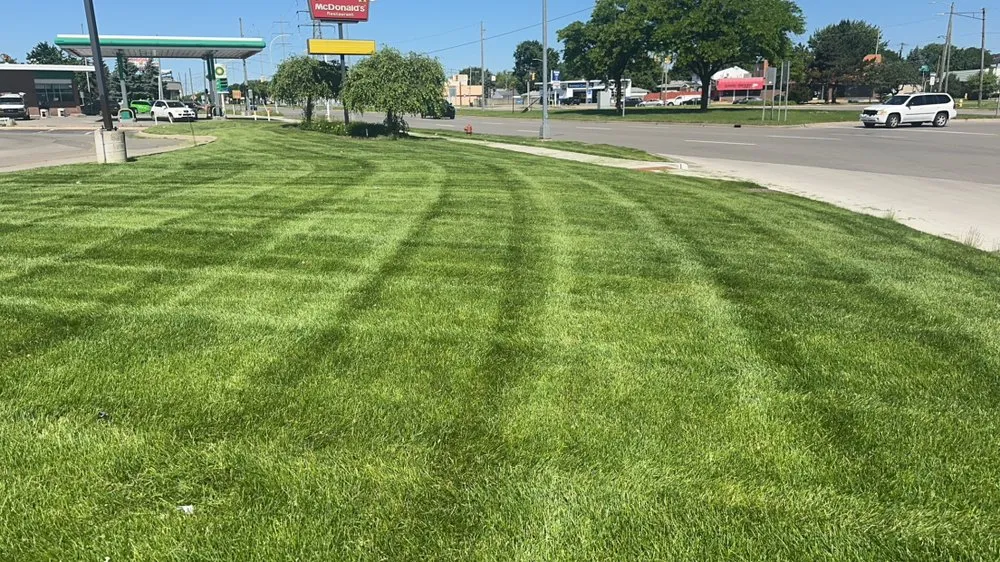 Expert yard maintenance in Taylor, MI - Defined Lines Lawn Care