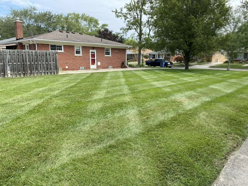 Affordable yard cleanup service in Taylor, MI by Defined Lines Lawn Care