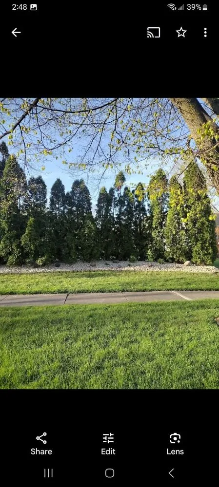 Local residential landscaping in Corunna, MI - Definite Landscaping