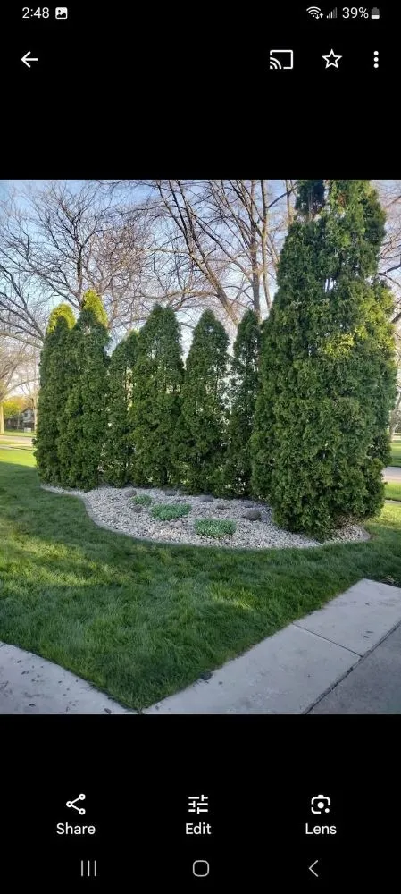 Expert landscape installation in Corunna, MI - Definite Landscaping